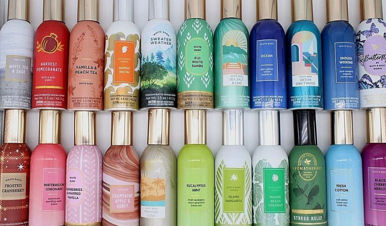 BBWI CEO Shakeup: Nike Exec Takes the Reins – Is This a Power Move or a Bath Bomb Fizzle?