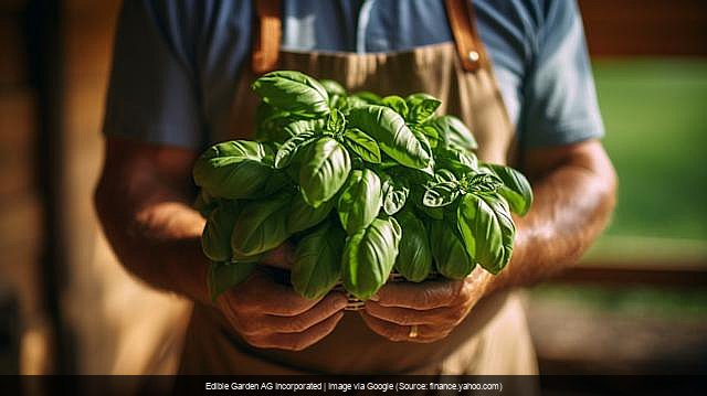 EDBL’s Secret Sauce Revealed: How This $3.5M Deal Could Reshape the Vertical Farming Game.
