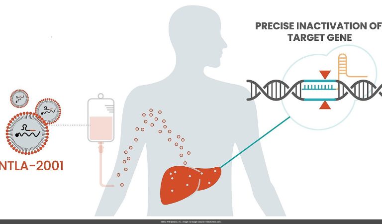 Decoding NTLA’s Latest SEC Filing:  One-Time CRISPR Cure Confirmed?  Deep Dive Inside.